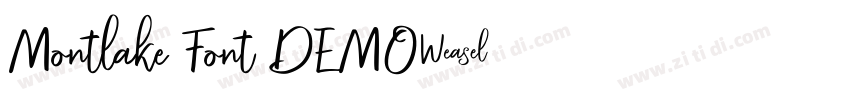 Montlake Font DEMO字体转换